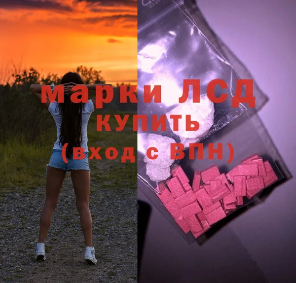 mdpv Новодвинск