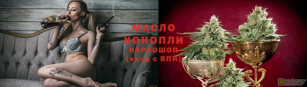 тгк Новозыбков