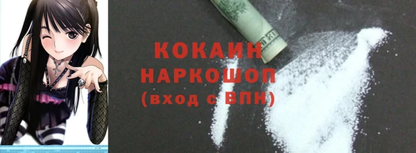 тгк Новозыбков