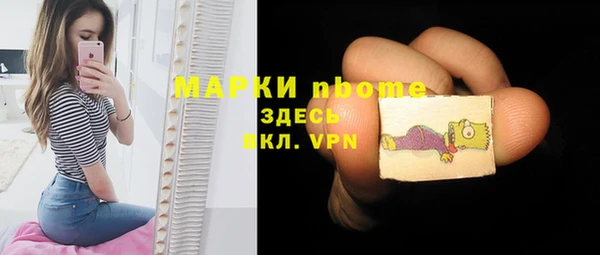 шишки Новокубанск
