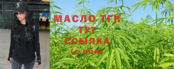 тгк Новозыбков