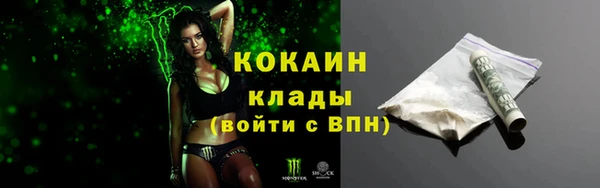 шишки Новокубанск