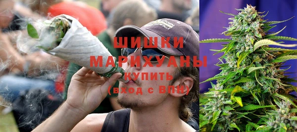 тгк Новозыбков