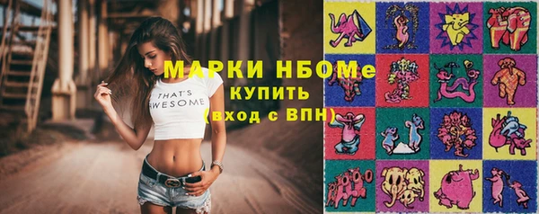 тгк Новозыбков