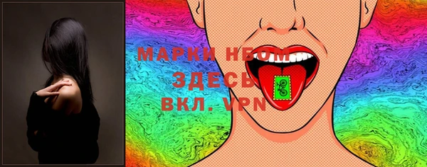 тгк Новозыбков