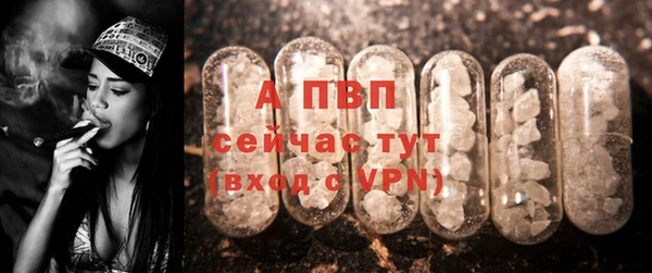 mdpv Новодвинск