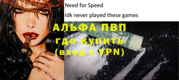 тгк Новозыбков