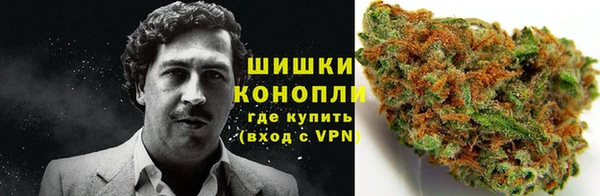 шишки Новокубанск
