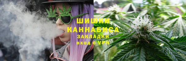 шишки Новокубанск