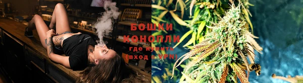mdpv Новодвинск