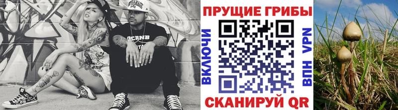 darknet клад  Кяхта  Псилоцибиновые грибы мухоморы 